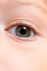 Fototapeta premium rétine