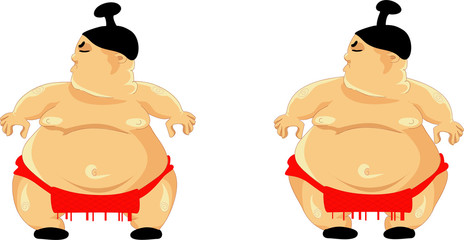 sumotori (sumo wrestler