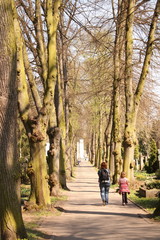 Fototapeta premium Allee, Spaziergang
