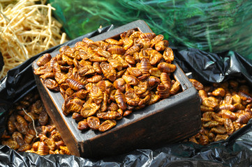 Edible Thai silkworm larvae in a market in Asia..