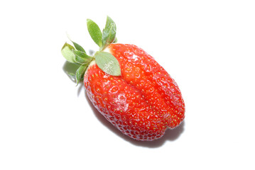Fragolona