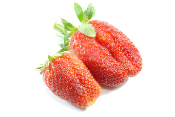 Fragola grande e piccola