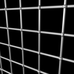 prison net