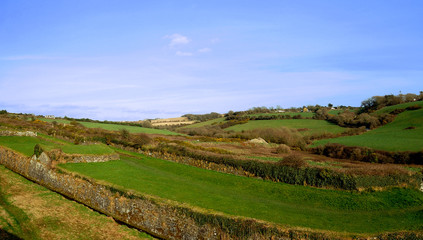 Campagna irlandese