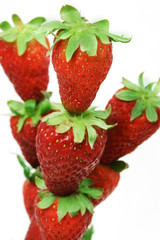 fresas