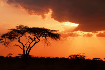 Fototapeta na wymiar Piękne african sunset