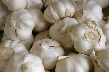 garlic
