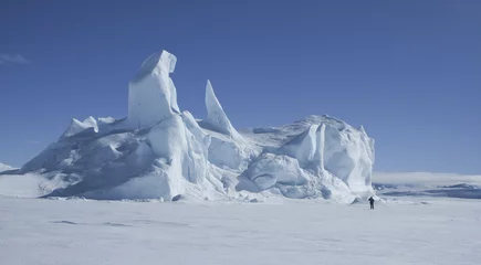 Fotobehang Iceberg frozen in the sea ice © Gentoo Multimedia
