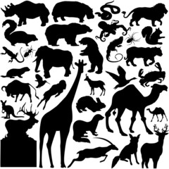 30 pieces of vectoral wild animals silhouettes.