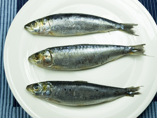 three sardines