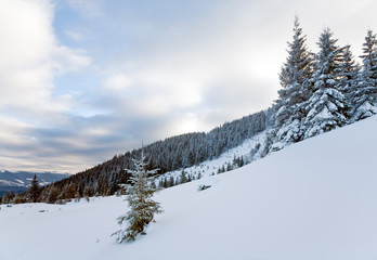 winter mountain landscape