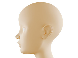 Neutral head profile
