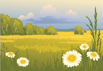 Summer sunny landscape