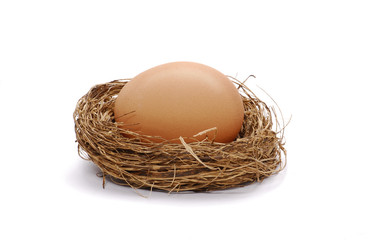 Huevo en un nido.