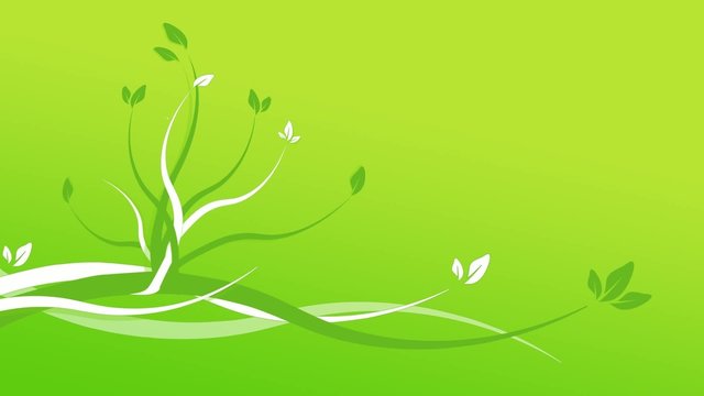 Animation florale fond vert