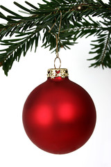 Rote Weihnachtskugel am Zweig
