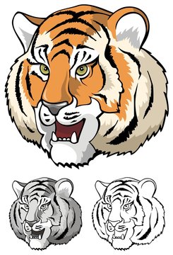 Tiger growling, head close-up, vector illustration
