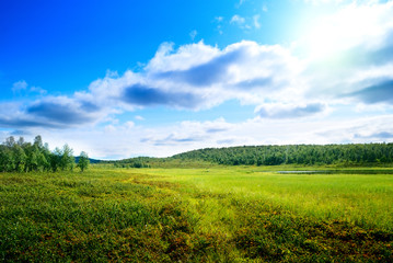 tundra in north montain