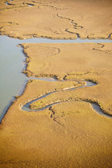 aerial view of salt marsh