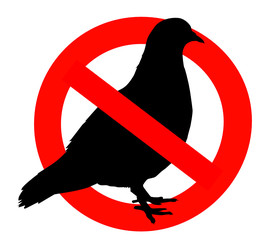 interdit aux pigeons