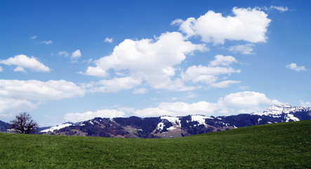 osmose