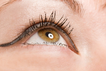 eye