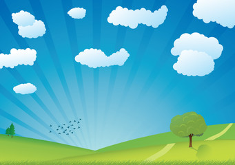 Fototapeta premium green summer landscape vector