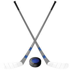 Hockey puck and sticks