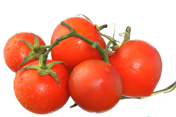 Fresh wet tomatos