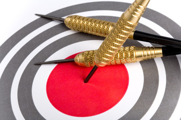 target with arrows on white