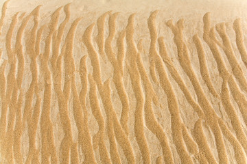 Beautiful sand background