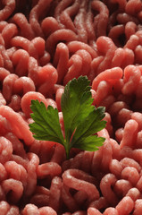 Carne macinata scelta di bovino adulto