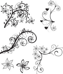 vector floral set