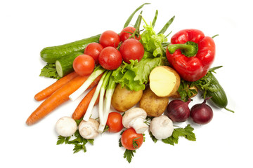 Fresh Vegetables