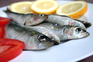 Sardinhas-Sardine-Pilchard-Fish-Sardina-Peixe-Sardinha