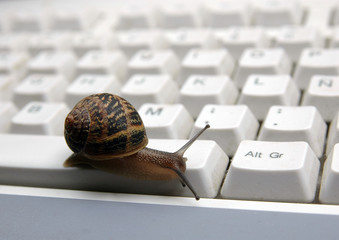 Caracol sobre teclado