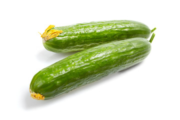Fresh Vegetables, cucumber