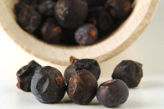 Bacche di ginepro - Juniperus communis
