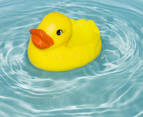 rubber duck