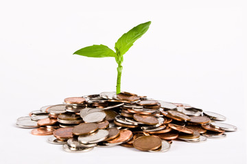 growing money