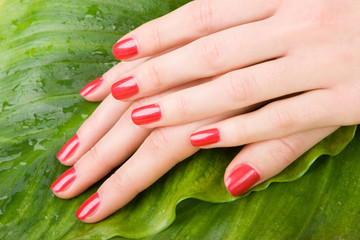 Fototapeta premium care for sensuality woman hands