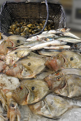 John Dory on display at a fishmonger