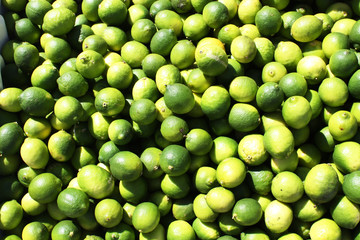 Green Limes