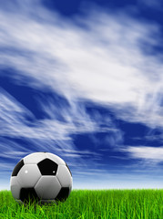 3D black soccer ball,green grass and a blue sky with clouds