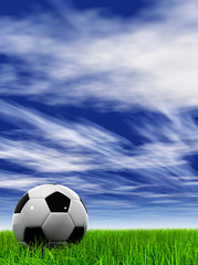 3D black soccer ball,green grass and a blue sky with clouds