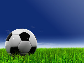 3D black soccer ball,green grass and a blue sky with clouds