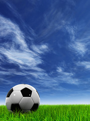 3D black soccer ball,green grass and a blue sky with clouds