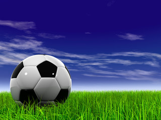 3D black soccer ball,green grass and a blue sky with clouds