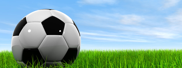 3D black soccer ball,green grass and a blue sky with clouds