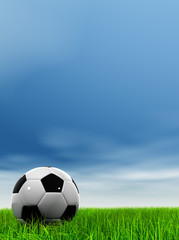 3D black soccer ball,green grass and a blue sky with clouds